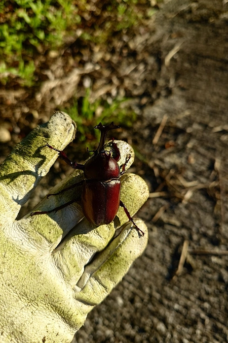 締め切りまで残り14日