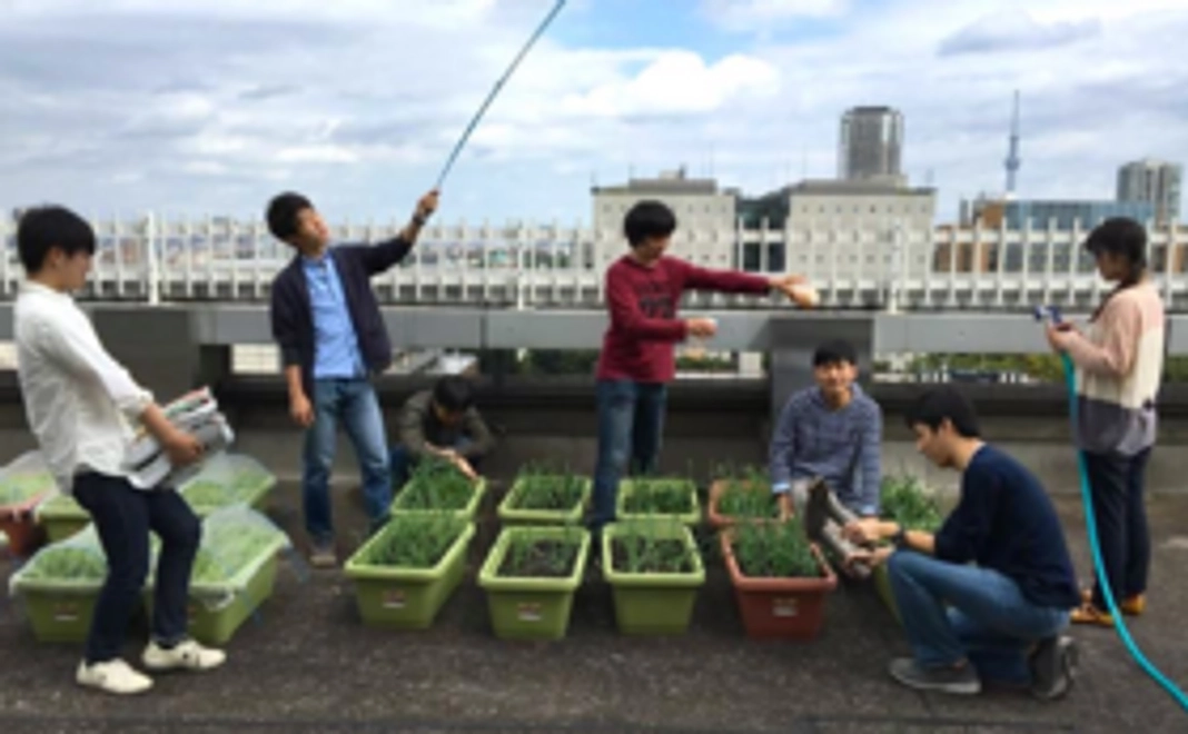 【野菜引き換え特典付き】感謝のメールをお送りします