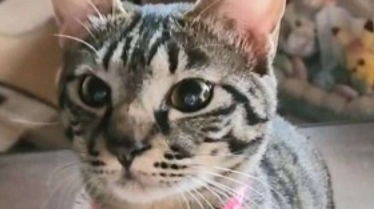 皆様にお願いです🙏