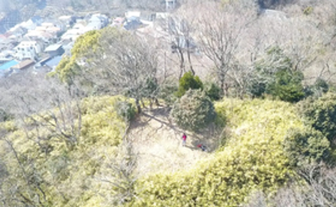 自ら撮影した神戸の画像(山・海・街)と空撮動画を送らせていただきます。