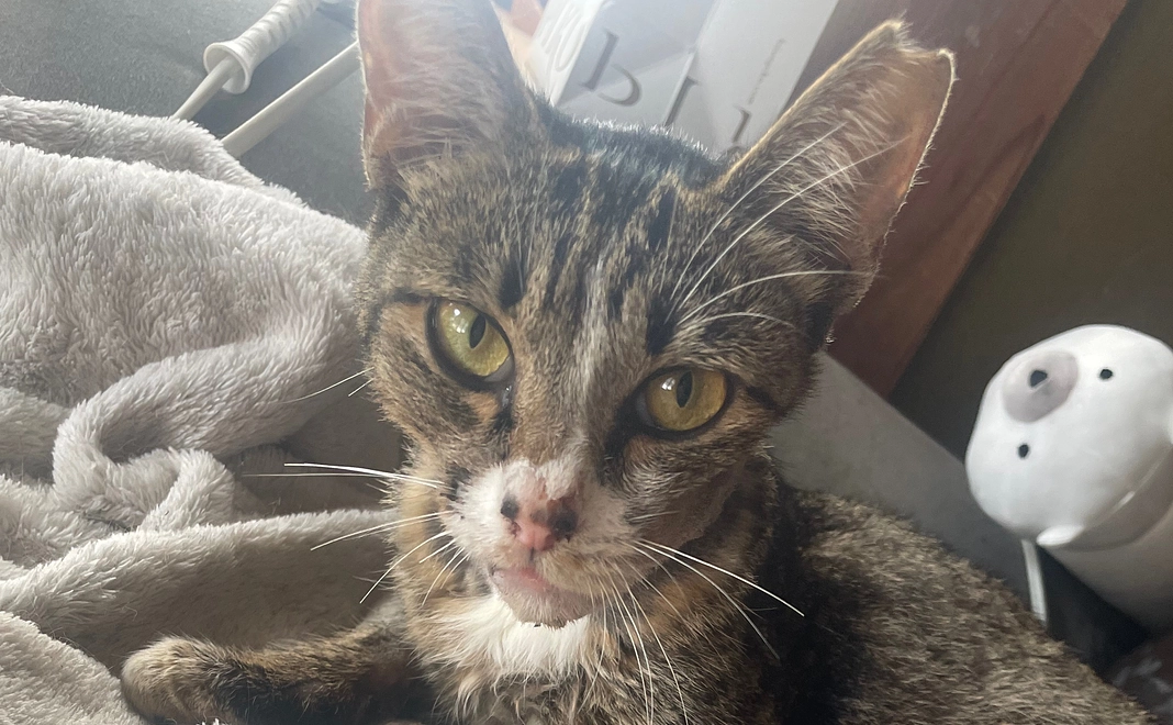 ちひちゃん応援①