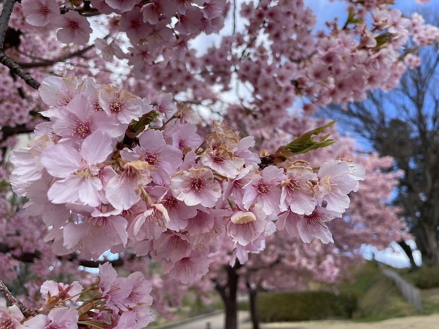 クラファン達成から1ヶ月半　〜お礼の手紙を発送しました〜
