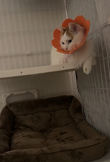 触らせてくれるようになりました！