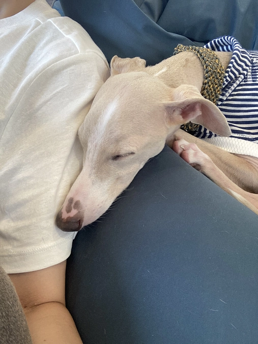 残り５日！達成率７４％達成額まで６０６,０００円です。皆様宜しくお願いします。