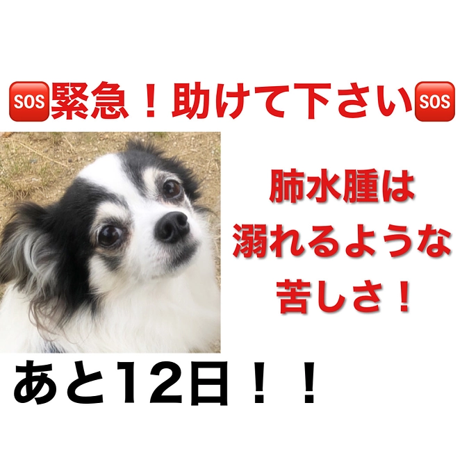 まだまだご支援必要です