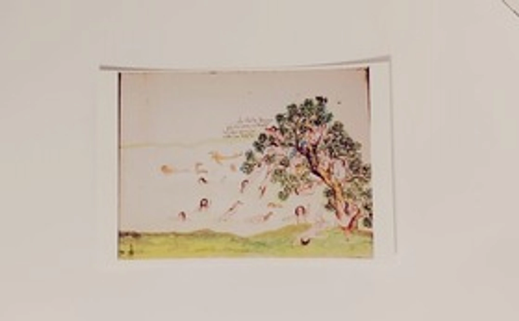 「フロリアン　パウケ」ポストカード　