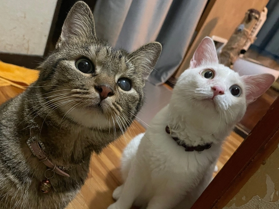 お誕生日でした🎉