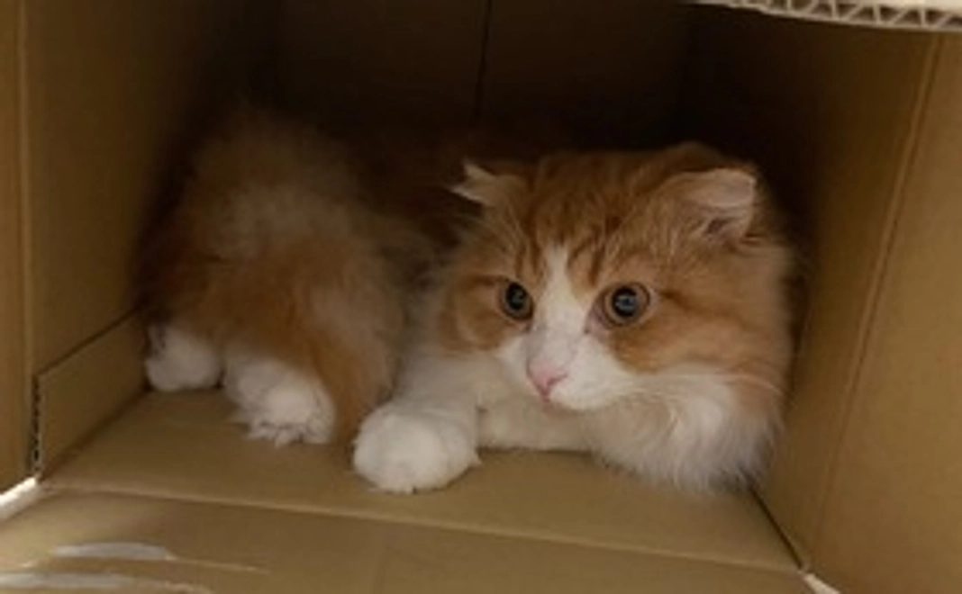 マスターの写真、動画、お礼のメール