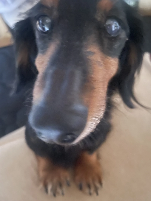 4月5日　明日は病院の日