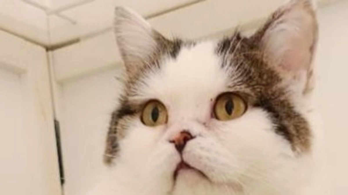 【ご支援者様100名突破の御礼】応援コメントのご紹介（1）