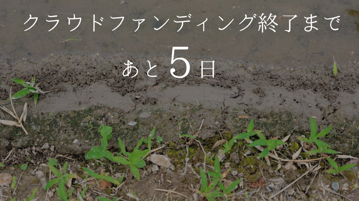 【残り5日】ご支援者260人突破！