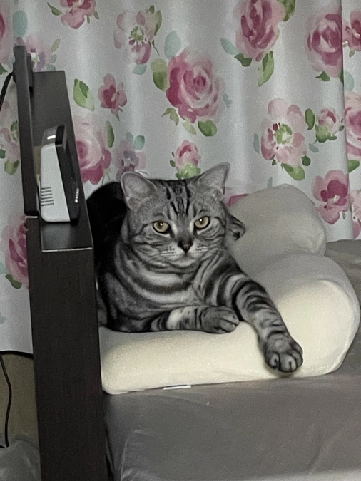 本日の銀時(経過観察27日目)