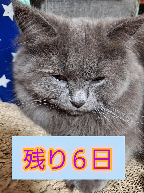 あと６日です🆘️🆘️💦