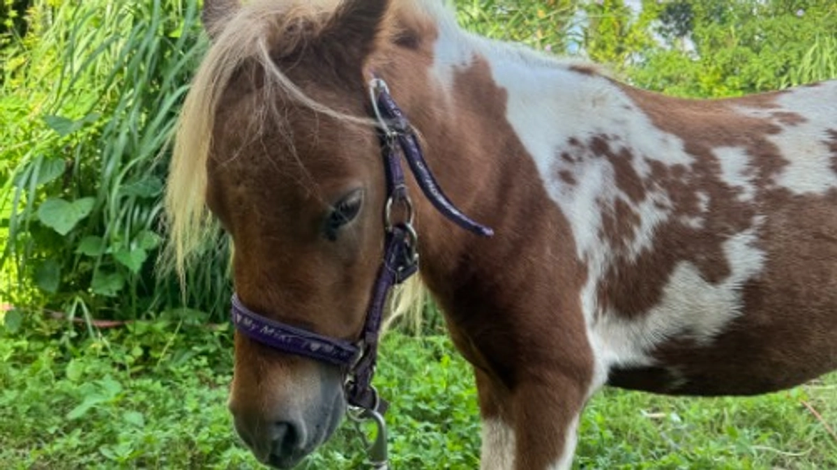 本日ご支援ありがとうございました