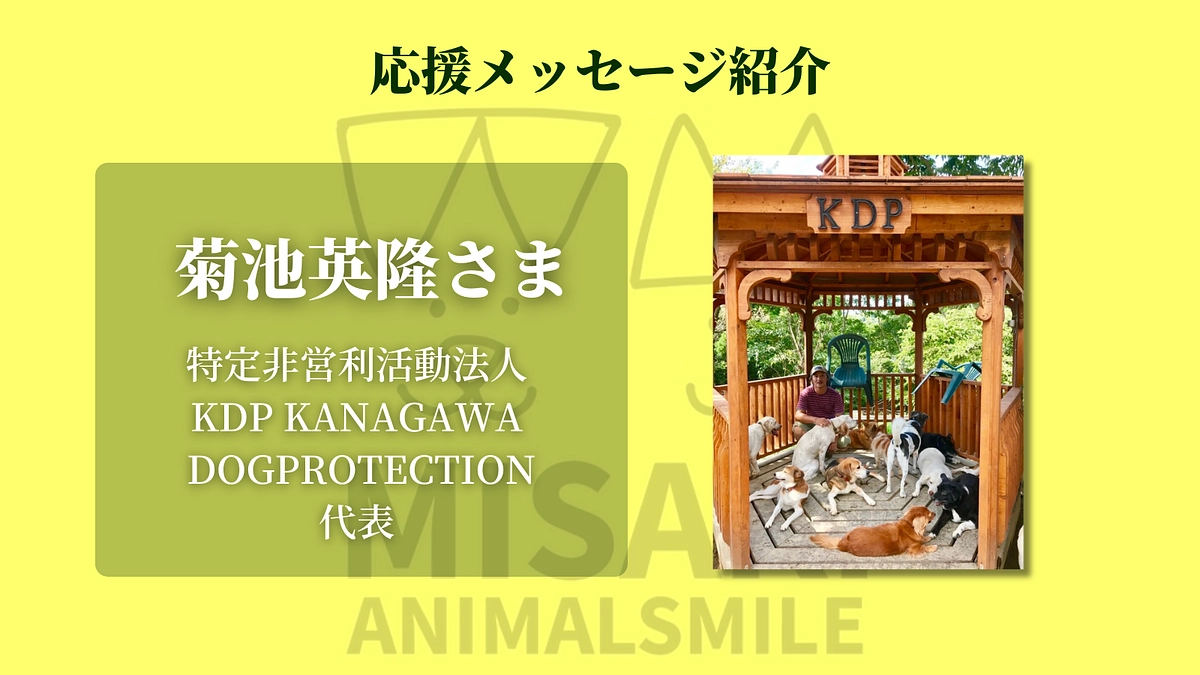  KDP代表・菊池英隆さまより応援のメッセージをいただきました！