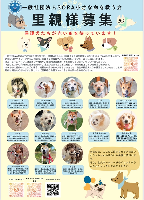 一部ですが現在募集中の保護っ子達を、ご紹介させていただきます。