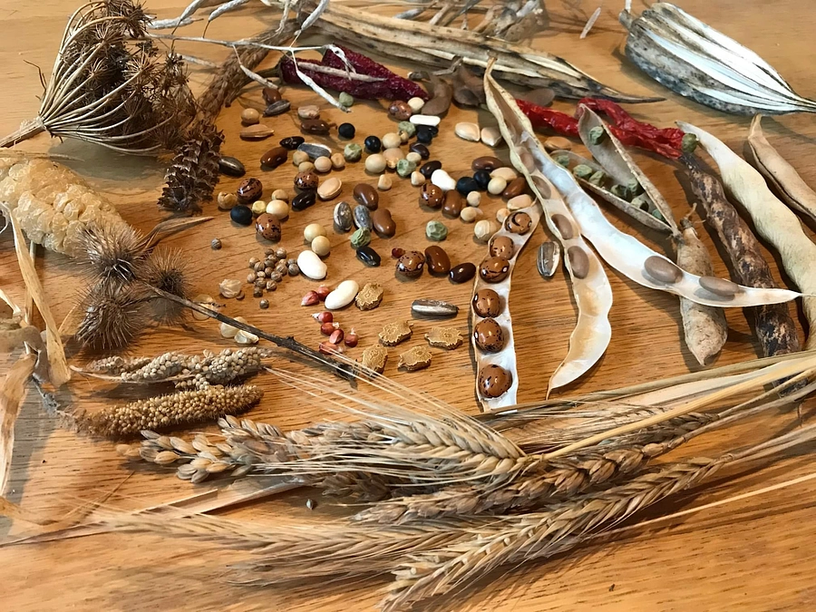 後援、協力、協賛の皆様のご紹介