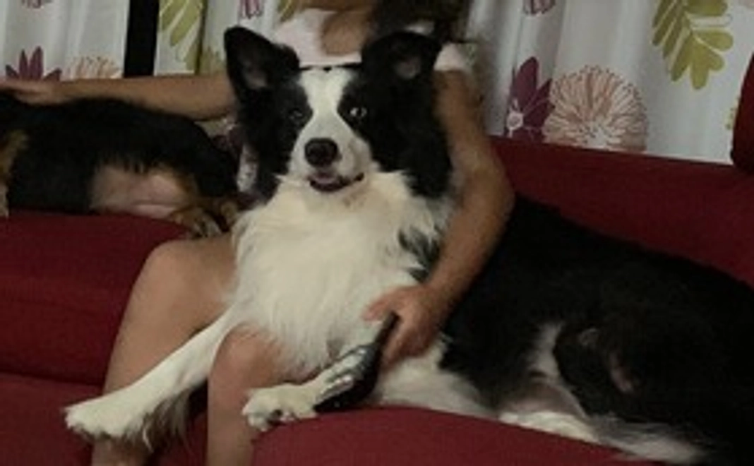 チョッパー君を救ってください 2