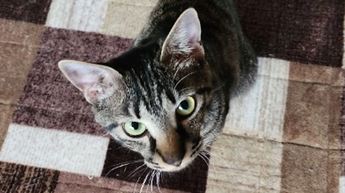 楓日記(9月17日)