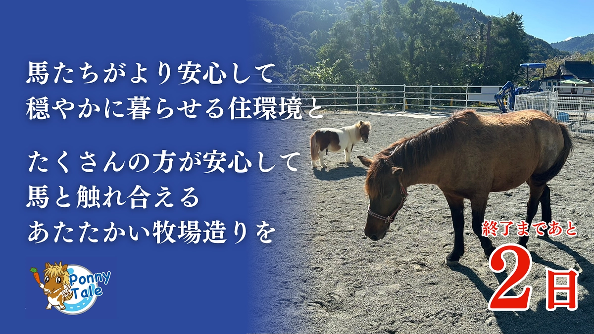 【残り2日】達成まであと350万円。馬のための本気のクラウドファンディングで奇跡を起こしたい！