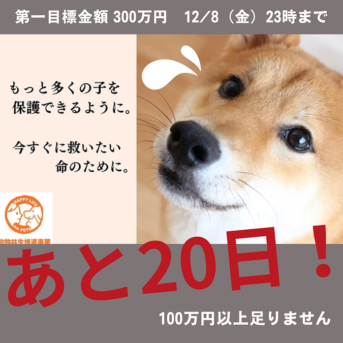 あと20日！