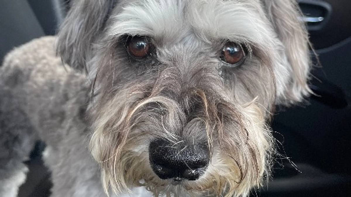 2023年7月2日　１度目の手術