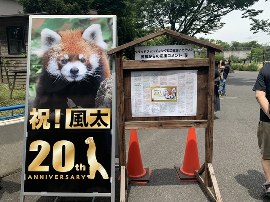 ブーム再来！？　７月５日風太２０歳誕生日記念セレモニー行いました！