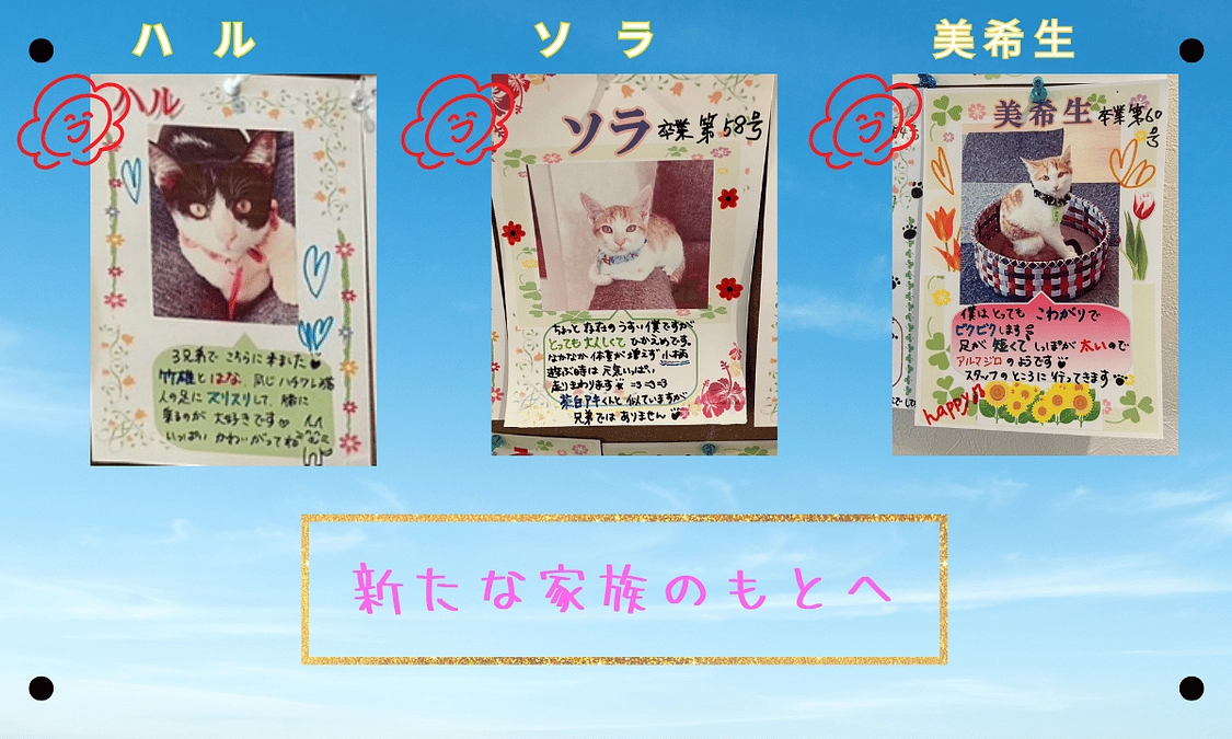 活動報告No.2｜2024/12/17｜ハル、ソラ、美希生、新しい家族のもとへ