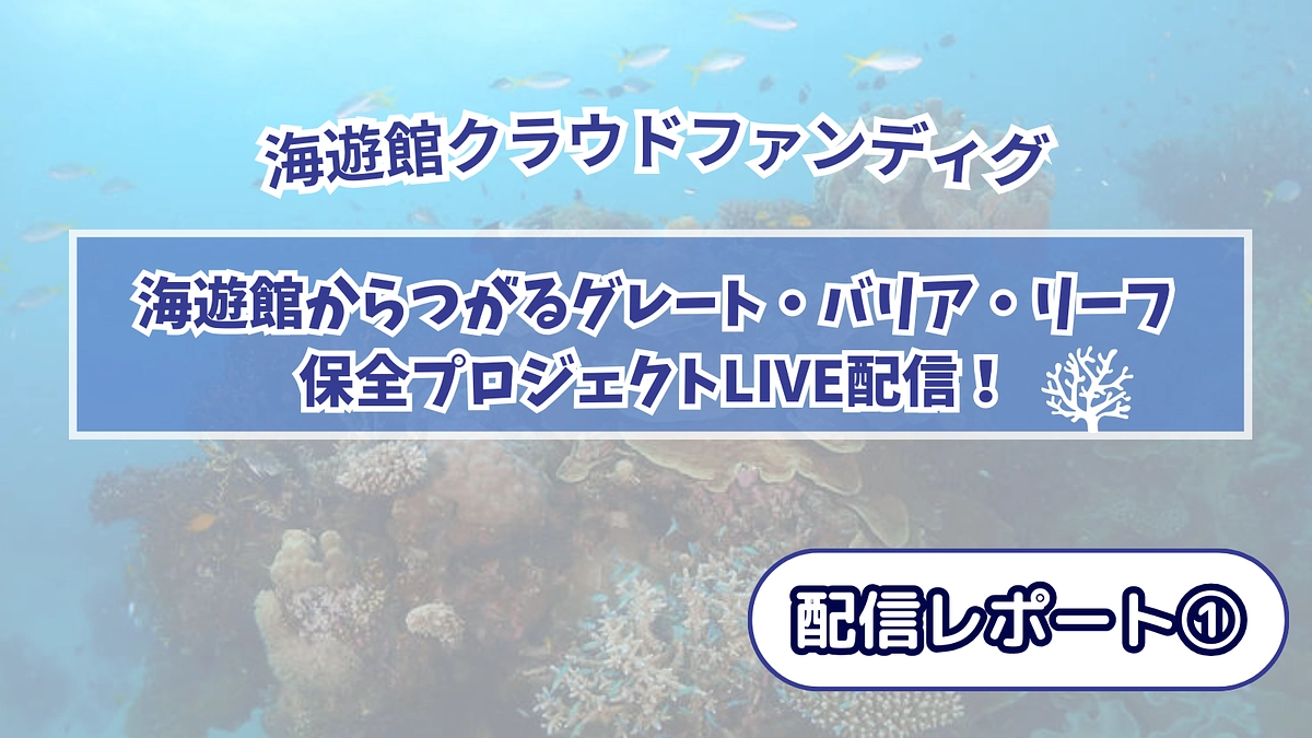 【7/3開催LIVE配信レポート①】オープニング・自己紹介・海遊館「サンゴ推し」の背景編