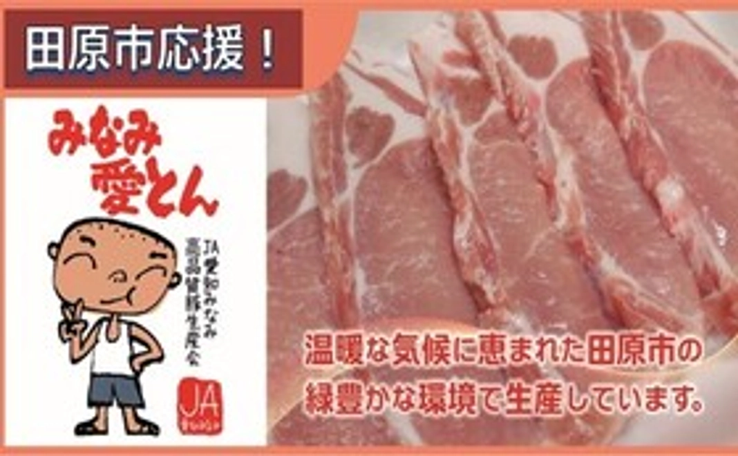田原市特産品の豚肉「みなみ愛とん」をお届け！コース