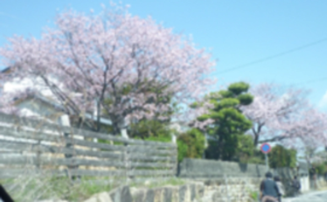 【安岡ゆりこ全力応援コース】お手紙+活動報告書