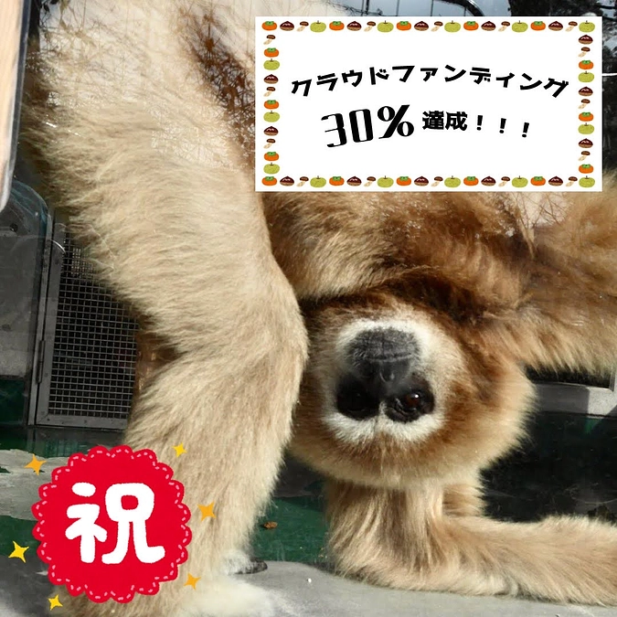 クラウドファンディング３０％を達成しました！