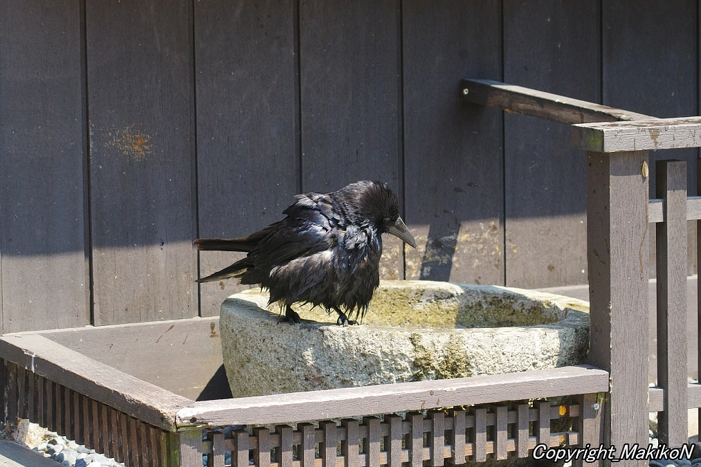 大阪でイベントなど