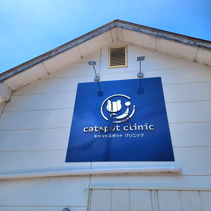 キャットスポットクリニック様が協力病院になってくださいました！