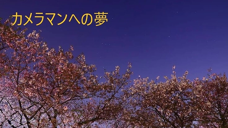 スポーツカメラマンへの夢