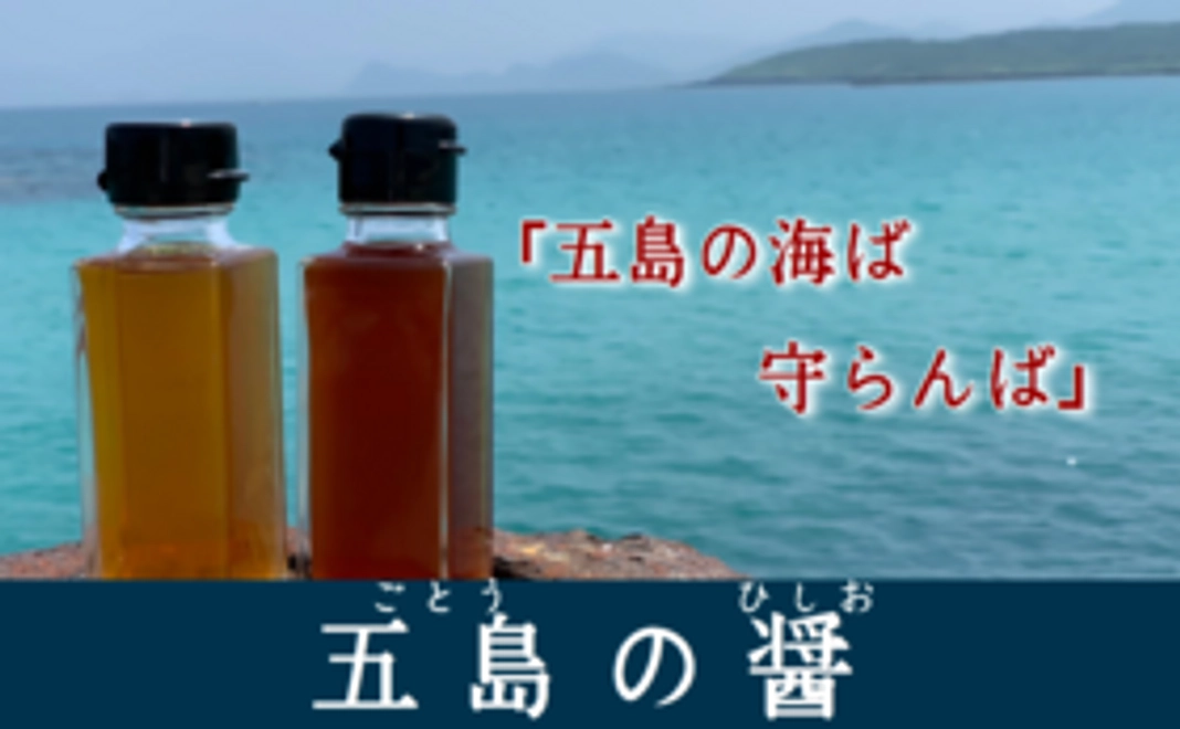 金沢鮮魚特選セット【五島の魚の魅力DX】