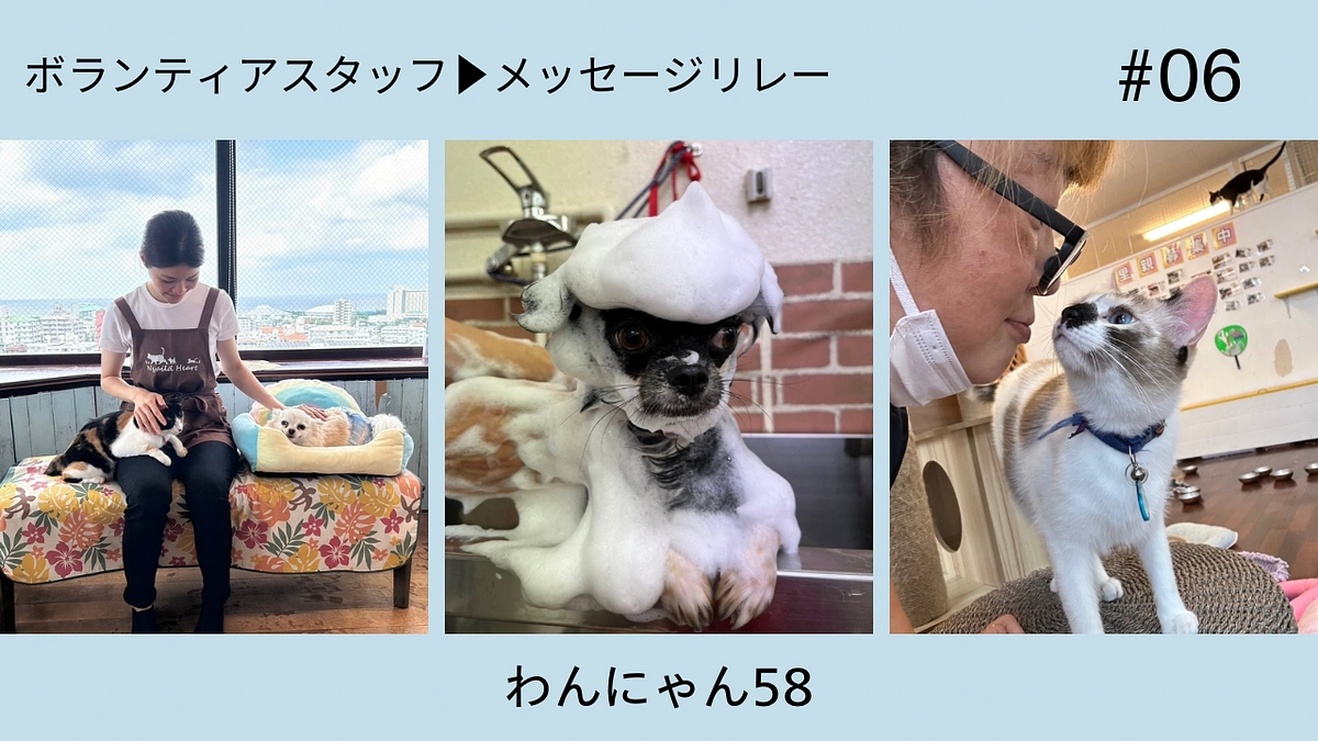 ボランティアスタッフメッセージリレー【沖縄わんにゃん58】