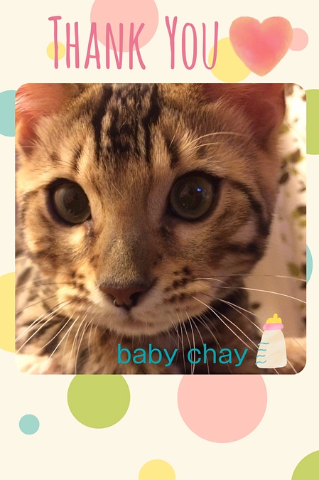 リターン送付のお知らせ