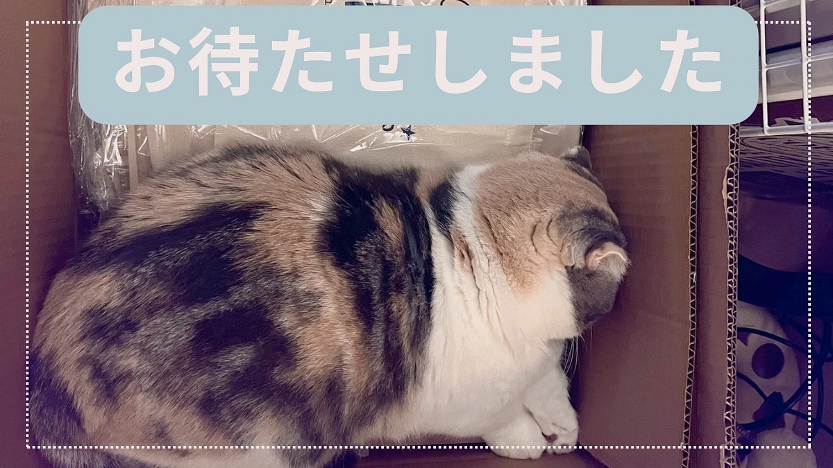 リターン（トートバッグ）発送のお知らせ