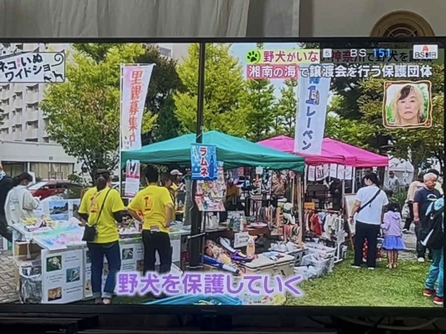 終了まであと1日。縁日出店でも運営資金を増やしながら