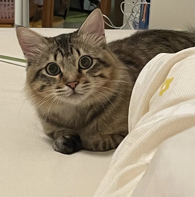 再投薬完了後からの経過観察73日目、元気です💪