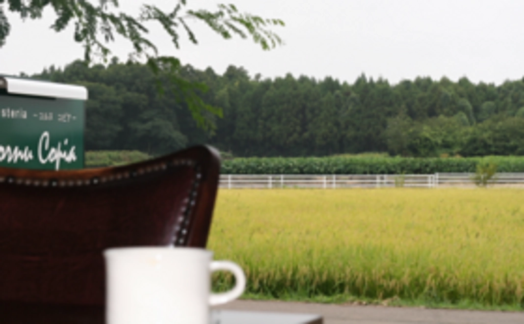 自家焙煎コーヒー豆