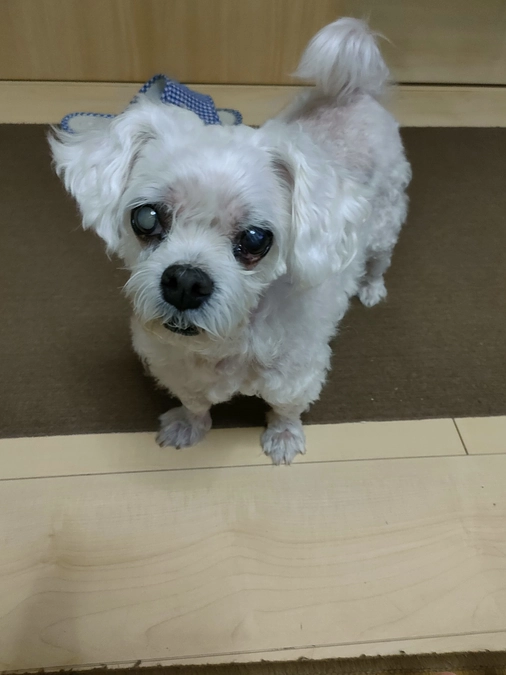 検診写真追加です