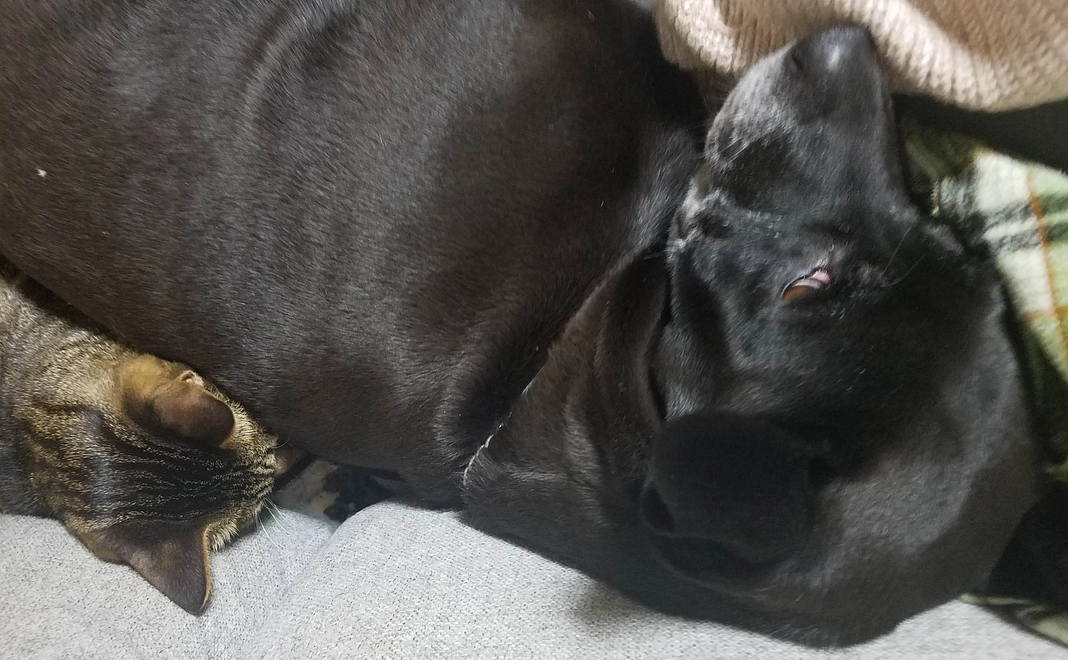 感謝のメール(1)