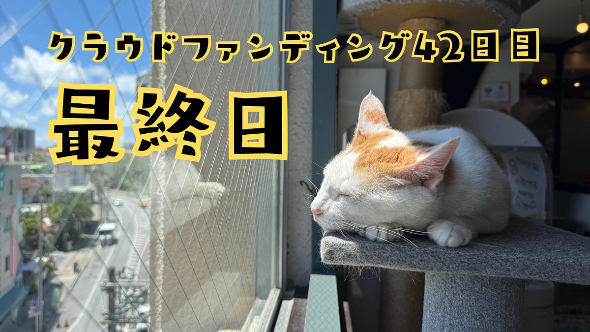 本日最終日。猫に温かな未来を。