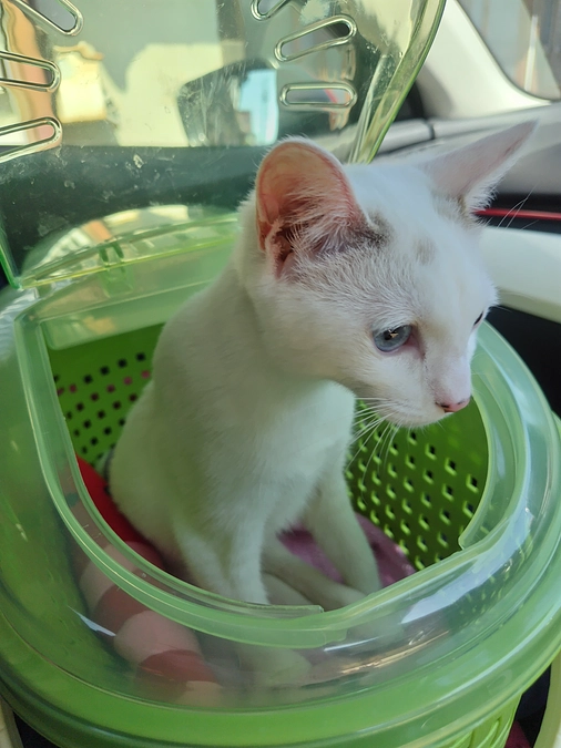 受診日でした🏥　菌が出ました…