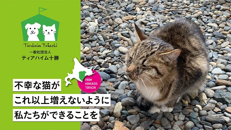 広大な十勝平野に生まれる不幸な野良猫をこれ以上増やさないために