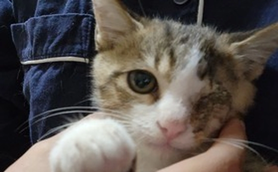 毎月３００００円の応援