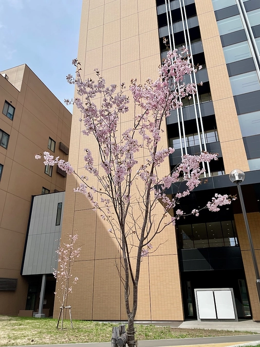 ご寄付いただき、誠にありがとうございます！