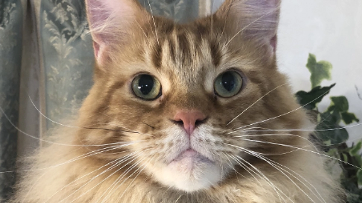 リターンをお送りさせて頂きました